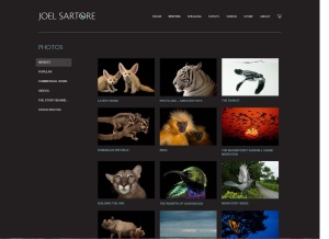 Joel Sartore Photographs Page